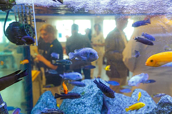 Therapie Aquarium UKA VITA Station